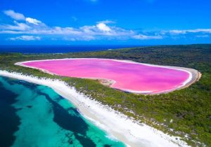 دریاچه هیلیر؛ یک برکه صورتی رنگ شگفت انگیز در استرالیا