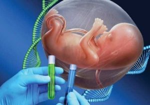 شرط دریافت مشاوره ژنتیک حین بارداری
