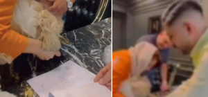 عذرخواهی زوج ایرانی که یک خانه۵ میلیاردی به نام سگ خود زده بودند + ویدئو