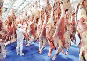 قیمت رسمی گوشت به نزدیکی ۵۰۰ هزار تومان رسید