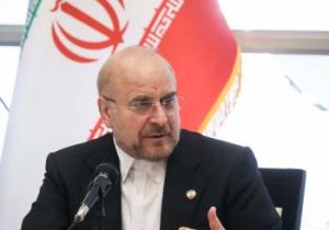 رئیس مجلس ایران، مدافع ایرانیان خارج نشین می‌شود!