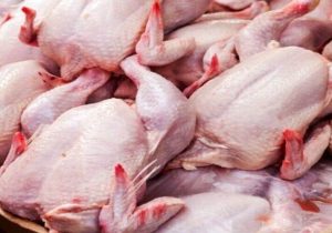 زمزمه مرغداران برای افزایش قیمت‌ مرغ