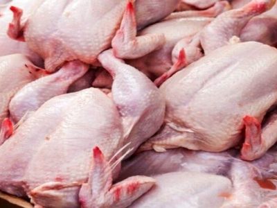 زمزمه مرغداران برای افزایش قیمت‌ مرغ