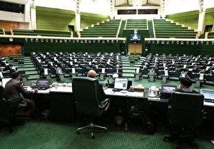 ایرانیان مهاجر و عاشق وطن حق داشتن نماینده در مجلس را دارند؟