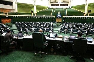 ایرانیان مهاجر و عاشق وطن حق داشتن نماینده در مجلس را دارند؟