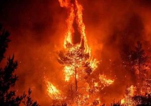 آتش سوزی جنگل­ها در ایران+ آمار و نحوه کاهش خسارت