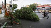 وزش باد شدید در برخی نقاط تهران