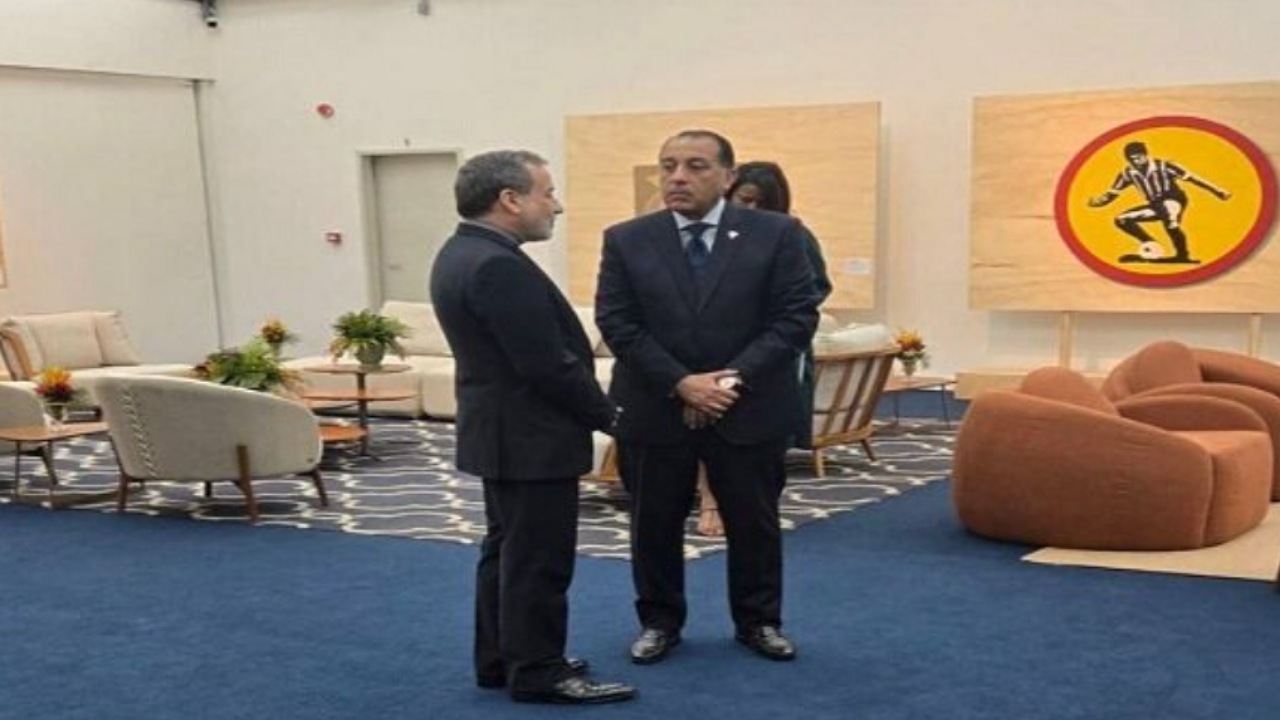 دیدار عراقچی با وزیر خارجه هند و نخست‌وزیران مصر و چین