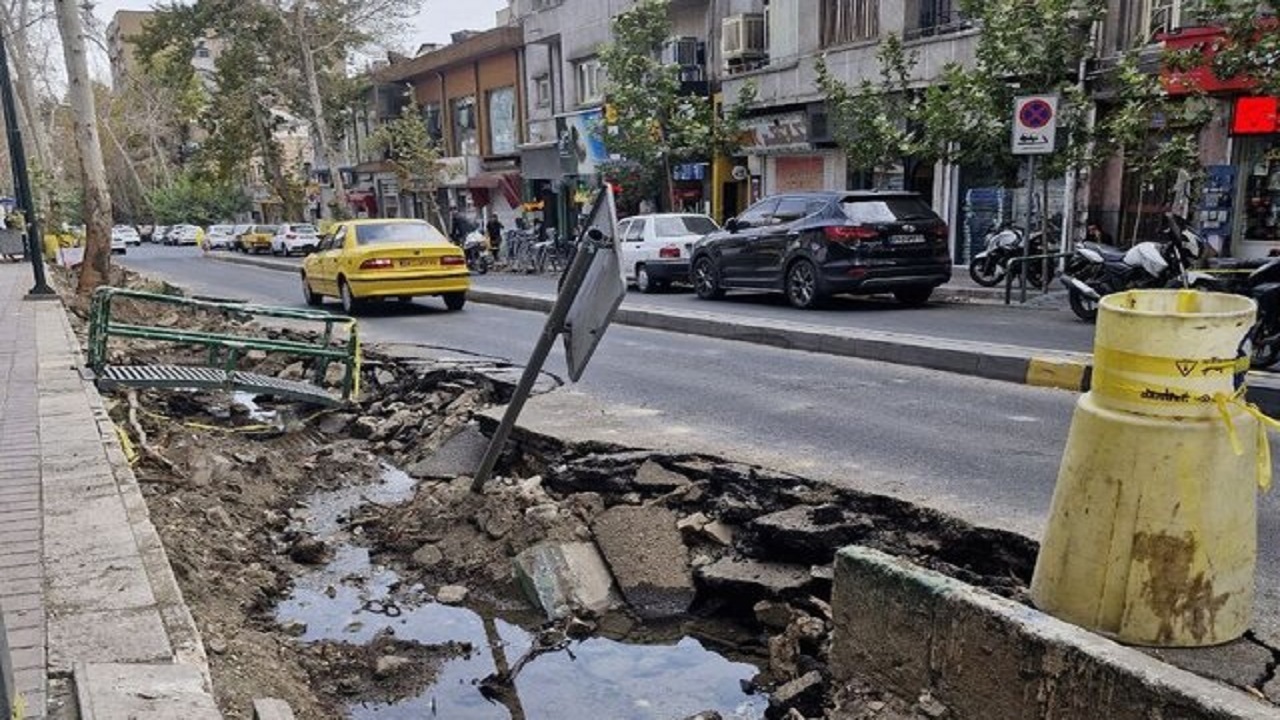 توضیح شهرداری درباره جابه‌جایی درختان کهنسال خیابان فلسطین