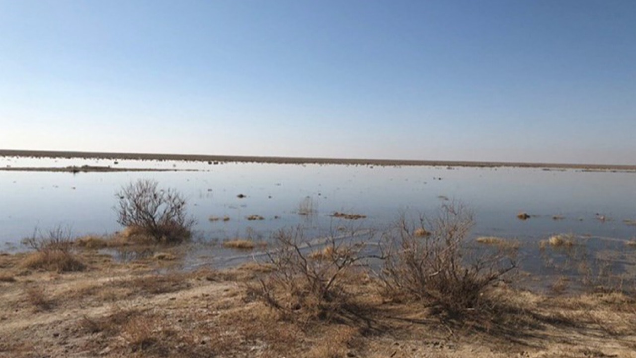 واکنش به ادعای «آلودگی هوای تهران به آرسنیک و سیانور»