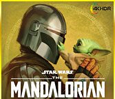 پخش فصل اول و دوم سریال «مندلورین» از شبکه فراتر
