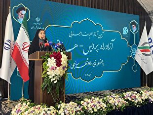 تهران به یک شهر بی پناه تبدیل شده است/ عدم توجه به محیط زیست پروژههای عمرانی را به قهقرا می برد