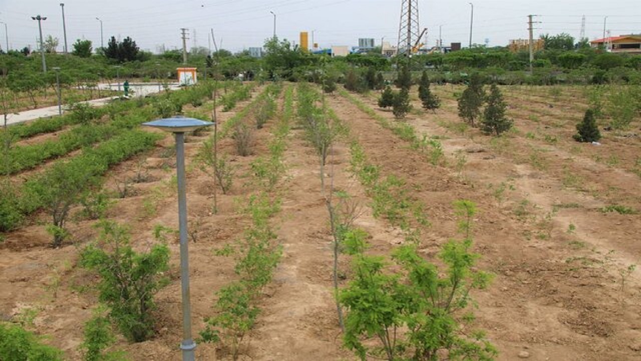 تنها ۲۸ درصد دهیاری‌های کشور بوستان روستایی دارند