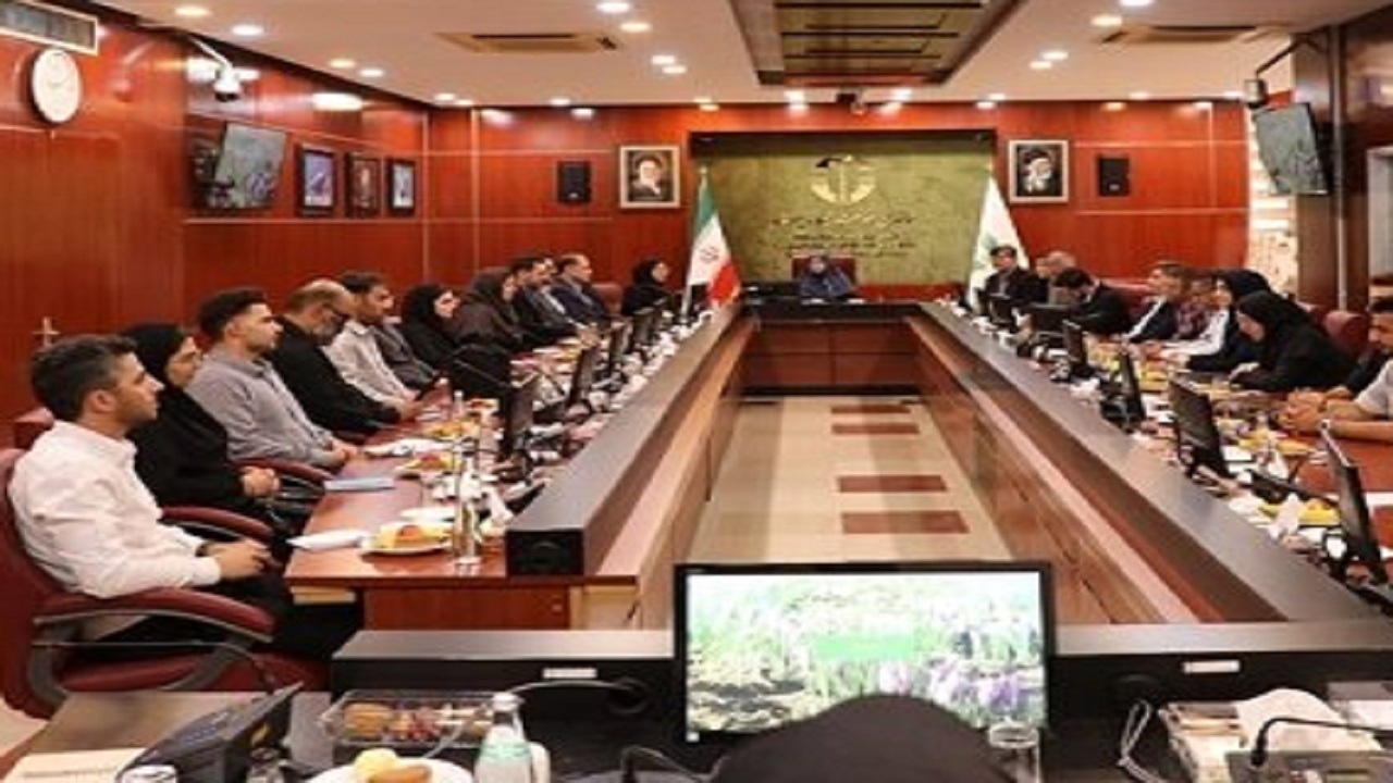 راهکار ضربتی برای بحرانهای محیطزیستی کارساز نیست