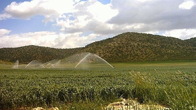 توسعه سامانه‌های نوین آبیاری مرهمی برای خشکسالی و کم آبی کشور