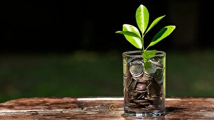 سرمایه گذاری در دوران تورم؛ چگونه ارزش پول خود را حفظ کنیم؟