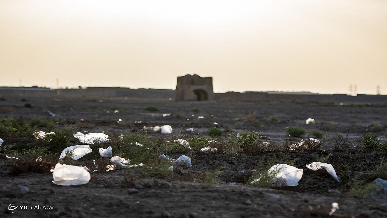 ضرورت تغییر بنیادین در نگاه به محیط زیست؛ از بهره‌کشی تا همراهی با طبیعت