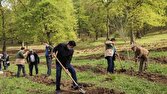 آغاز پویشهای نهالکاری از مهرماه با تکیه بر بارشهای پاییزی