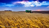 خرید تضمینی گندم به بیش از ۷ میلیون و ۲۷۵ هزارتن رسید