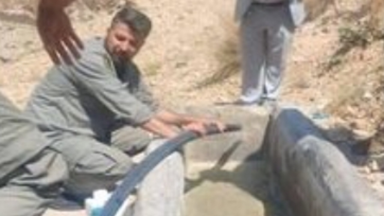 توزیع ۱۶۰ گالن ضدعفونی‌کننده برای پیشگیری از بیماری در حیات وحش تهران