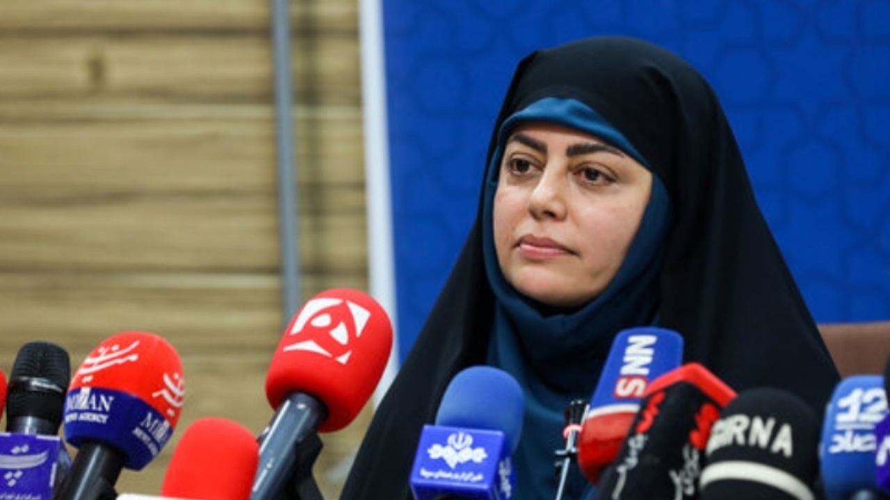 تقویت ناوگان تاکسیرانی در مرز مهران همزمان با بازگشت زائران اربعین