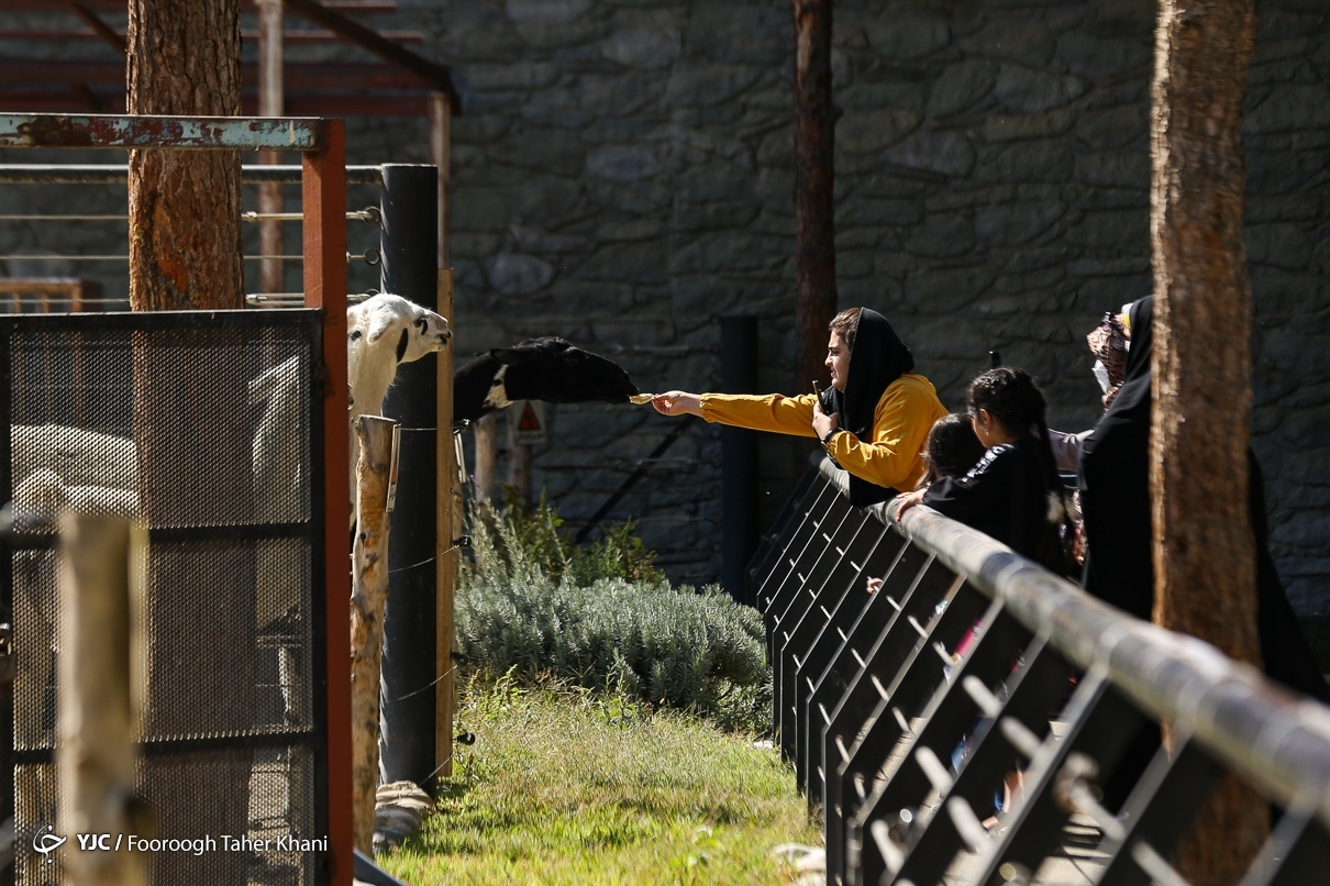 باغ وحش ارم اسب ورزشی ندارد