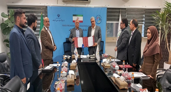 بهرهگیری از ظرفیتهای اصناف در توسعه صادرات