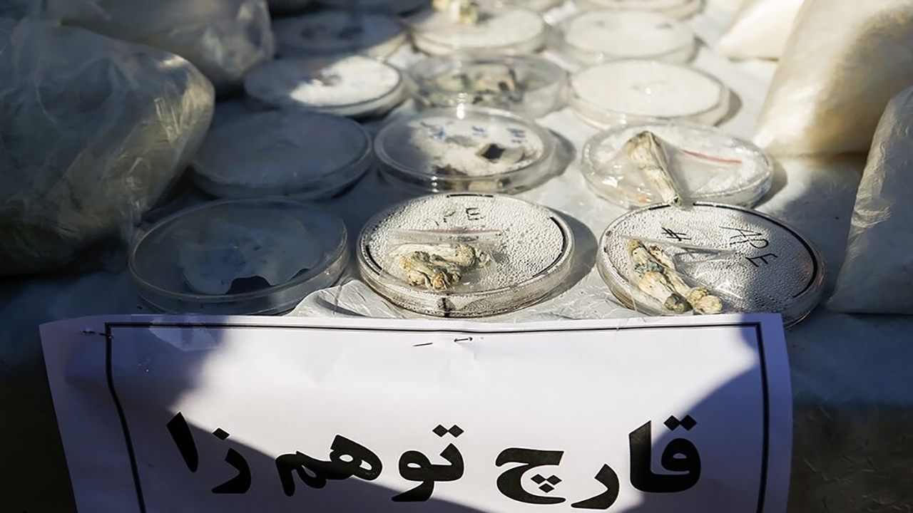 فروش روانگردان «مجیک ماشروم» در اینستاگرام و کشف ماینر‌های غیرمجاز در تهران