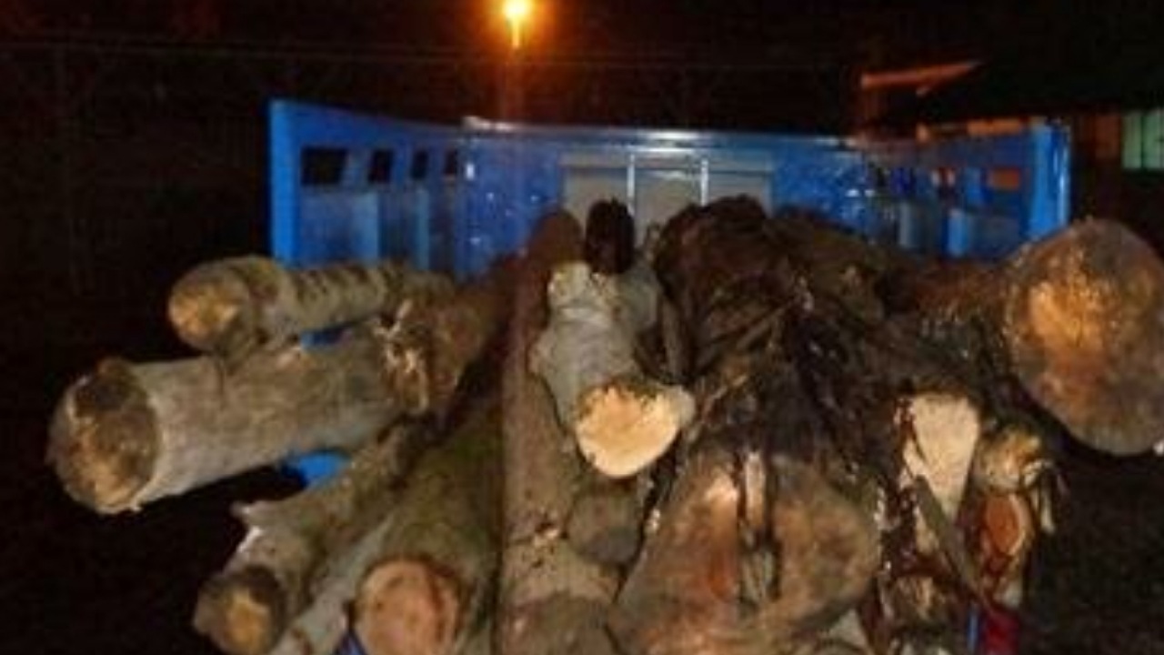 کشف یک تن چوب قاچاق در رباط کریم