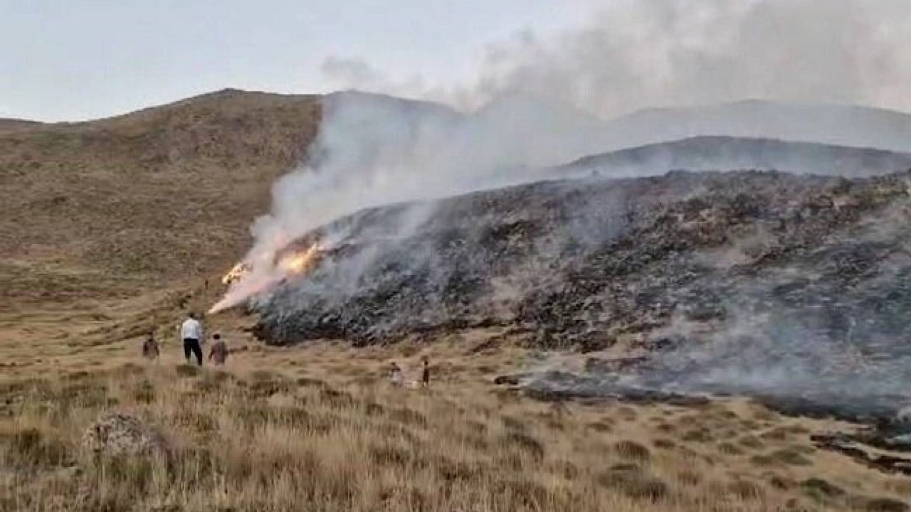 مهار آتش سوزی ۱۲۰ هکتاری در حاشیه پارک ملی لار