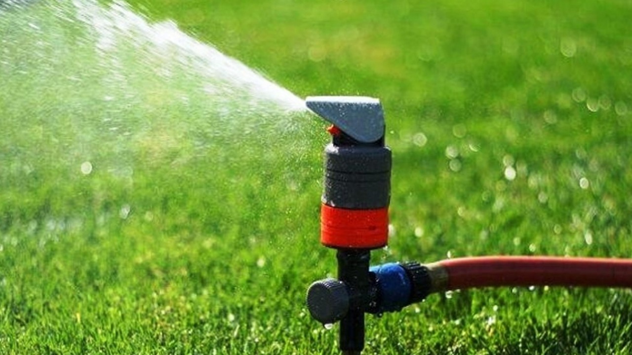 راهکار‌های عملی کاهش مصرف آب در بخش کشاورزی مغفول مانده است