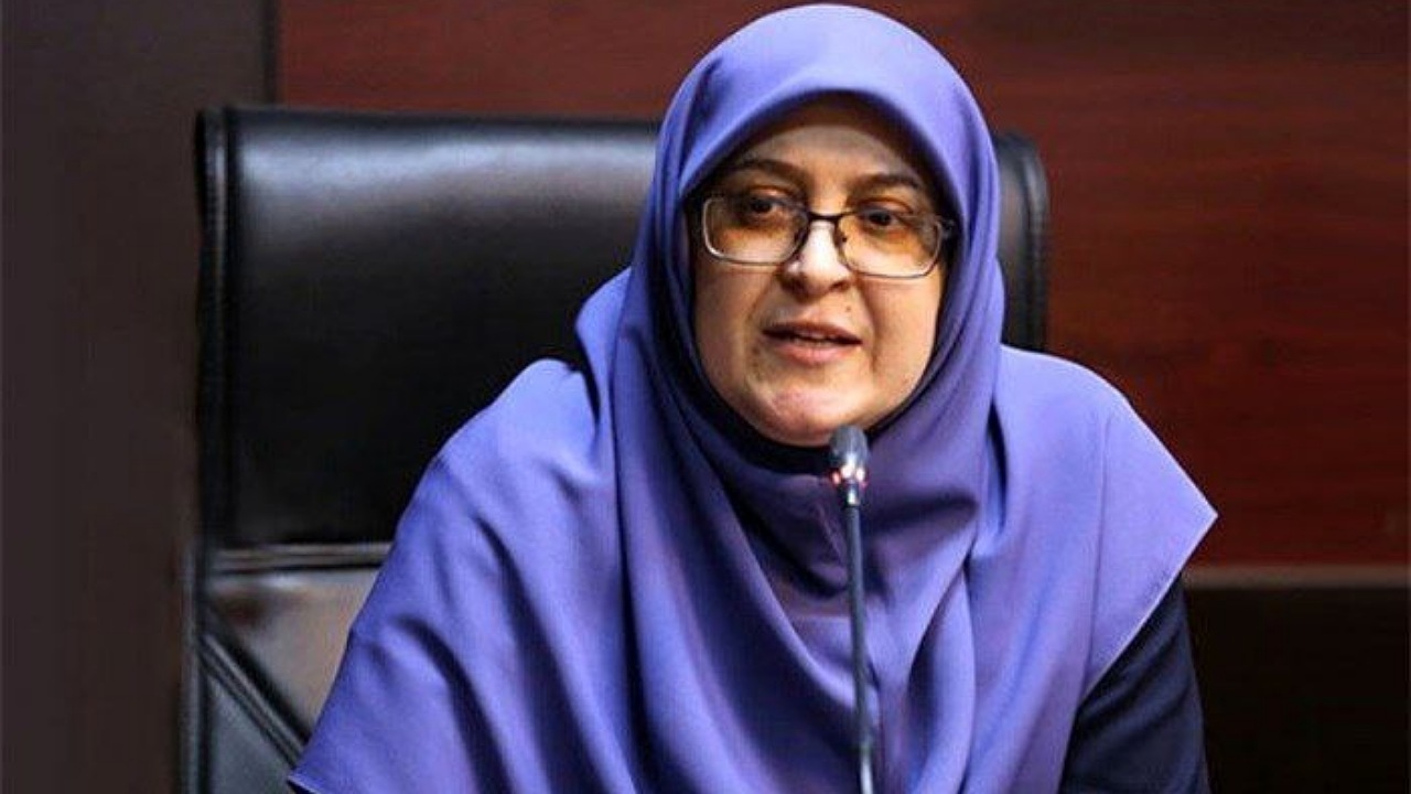 مهاجرانی: دولت به پاسخگویی و خدمت متعهد میماند