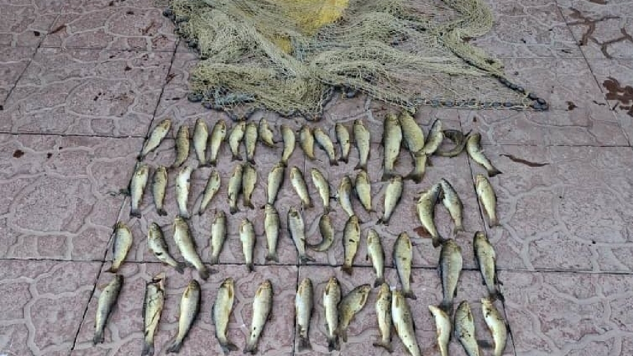 دستگیری صیاد متخلف در پارک ملی لار