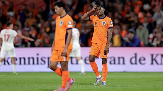 پیروزی قاطع اسپانیا و بلژیک در شب فاجعه بار آلمان/ هلند برد را مقابل لهستان از دست داد + فیلم