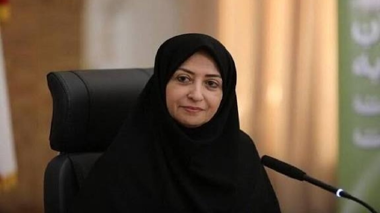 انصاری: معضلات زیست‌محیطی بدون مشارکت زنان و بخش خصوصی حل نمی‌شود