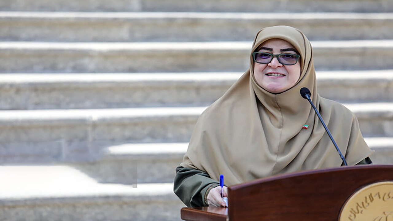 مهاجرانی: درخواست ایران برای نشست با سه کشور اروپایی و ویتکاف در نیویورک رد شد