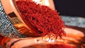 برداشت نوبرانه زعفران آغاز شد