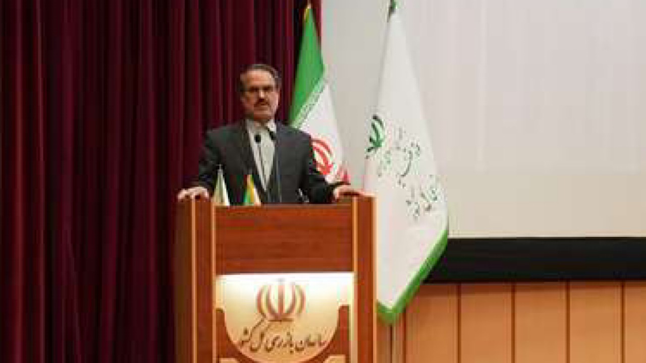 سازمان بازرسی هیچ‌گاه مانع فعالیت‌های قانونی مدیران و دستگاه‌ها نیست