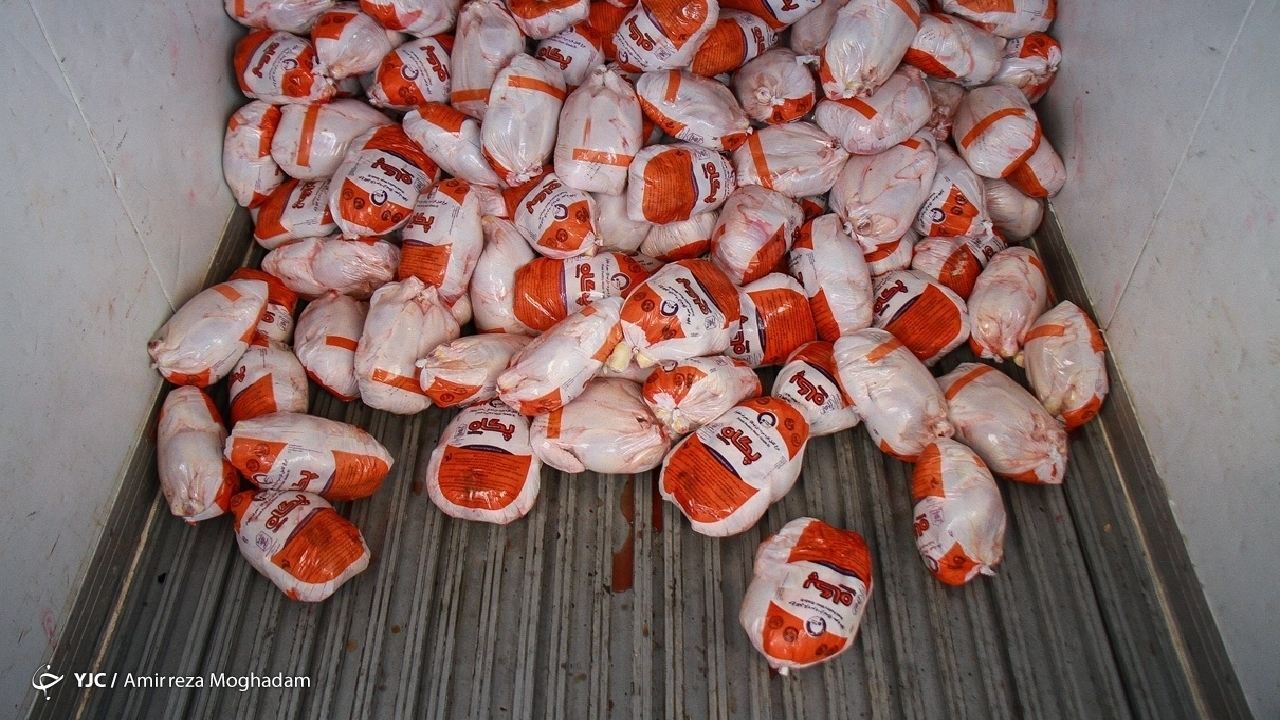 توزیع مرغ گرم در میادین و بازار‌های میوه و تره‌بار ۶ هزار تومان ارزان‌تر از نرخ وزارت کشاورزی