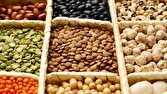 کمبودی در عرضه حبوبات نداریم/ قیمت هرکیلو لوبیا چیتی به ۳۹۰ هزارتومان رسید