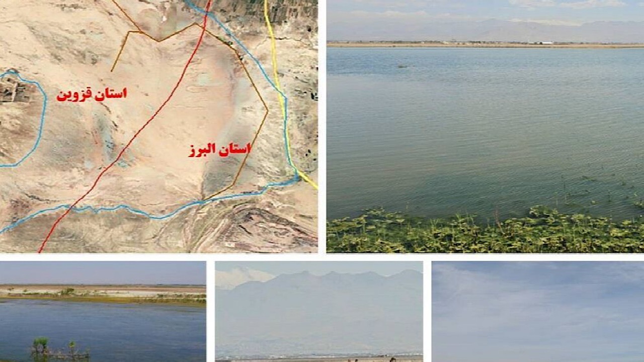 گام مهم برای احیای تالاب صالحیه با دستور رئیس‌جمهور و پیگیری سازمان محیط زیست