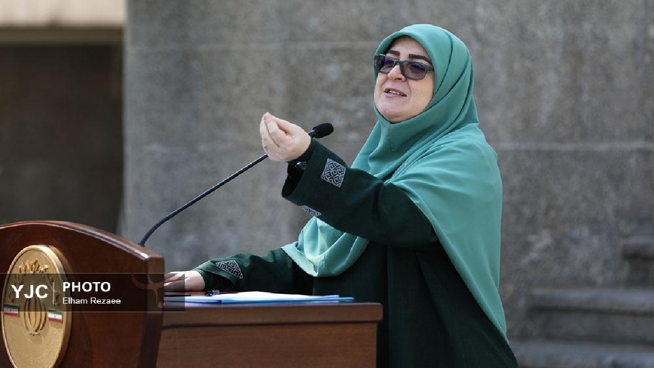 مهاجرانی: دولت تصمیمی برای حذف ارز ترجیحی دارو و کالا‌های اساسی ندارد