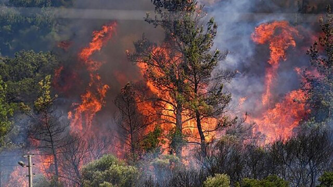 گستردهترین عملیات اطفای حریق کشور در الیت چالوس؛ استفاده همزمان از ۲ ایلوشین ۴۰تنی