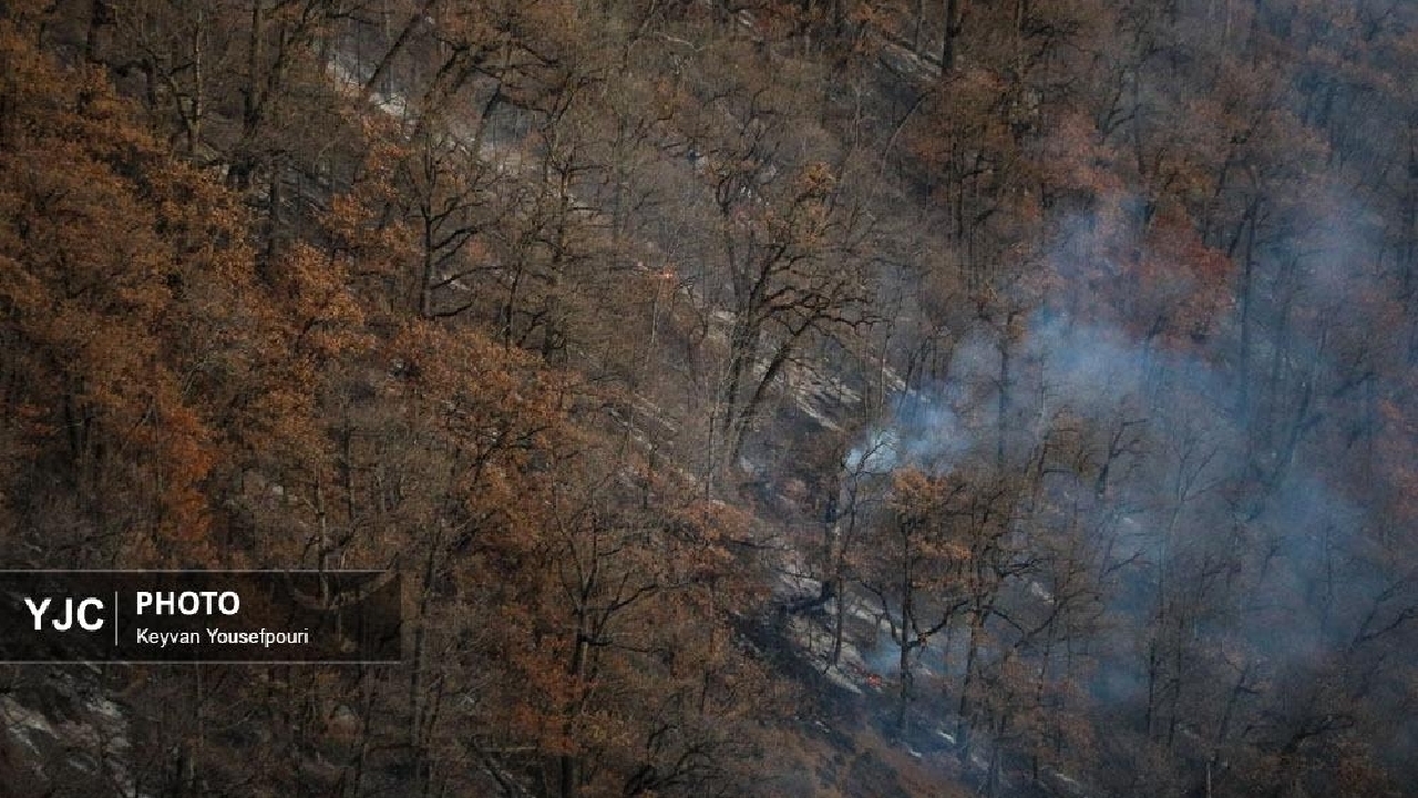 گزارش مجلس درباره آتش سوزی جنگلهای الیت غیرکارشناسی است