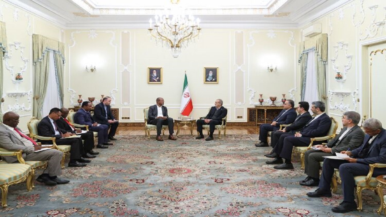 پزشکیان: بریکس میتواند الگوی ارتباطی نوینی برای تقویت همکاریهای کشورهای عضو ارائه دهد