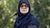 مهاجرانی: قمار روی خاندانهای شکستخورده تاریخی محکوم به ناکامی است
