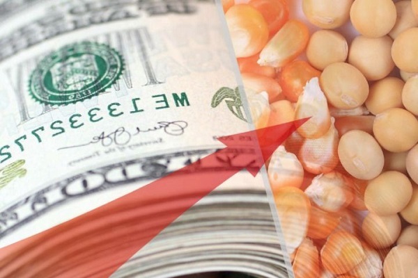 بازی «پلیس خوب، پلیس بد» با سفره مردم / فردا مرغ را با چه قیمتی می فروشید؟