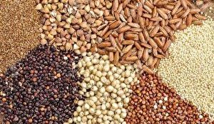 ابلاغ دستورالعمل تأمین ارز واردات نهاده‌های دامی در ازای پذیرش اوراق گام