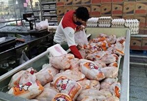 جوجه ریزی بهمن به ۱۴۰ میلیون قطعه می‌رسد/قیمت مرغ کاهشی شد