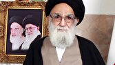آیت‌الله محمودی گلپایگانی درگذشت